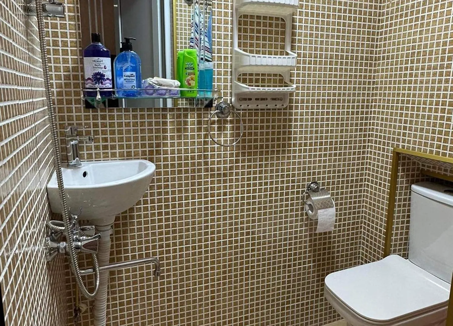 Apartment In Touristic Centre Avlabari ティビリシ